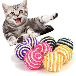 Cat Pet Catch Chewing Toy